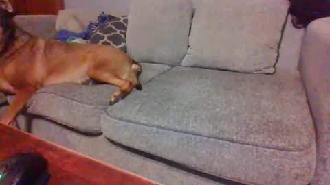 blaw_1321 online show from November 2025 09:47:01 PM