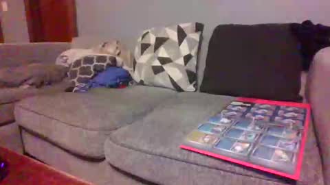 Snapshot of blaw_1321 chatting on February 2026 09:31:02 AM blaw_1321 online show from February 2026 09:31:02 AM