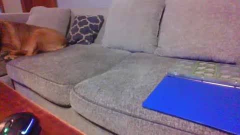 Snapshot of blaw_1321 chatting on June 2026 12:35:01 AM blaw_1321 online show from June 2026 12:35:01 AM