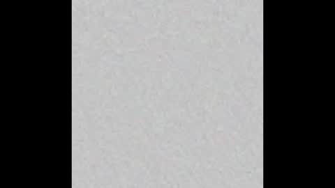 Snapshot of bliis_ chatting on February 2026 12:16:01 PM Billie online show from February 2026 12:16:01 PM