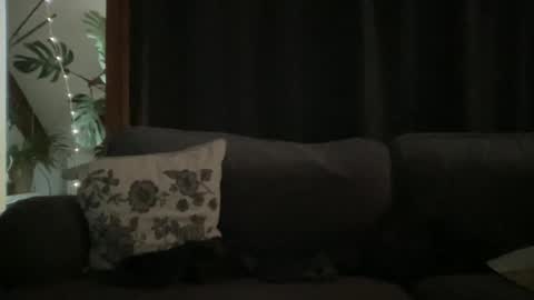 Snapshot of bllyidol chatting on December 2025 09:04:02 AM BlIdoL online show from December 2025 09:04:02 AM