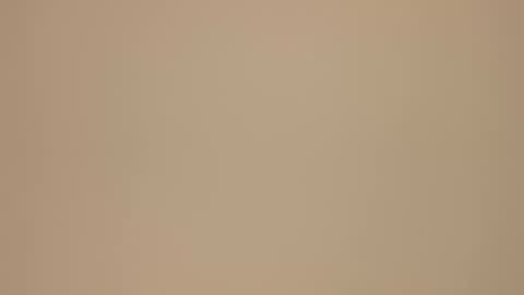 Blondie gin online show from February 2025 03:54:01 PM