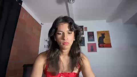 Bella Bloom ts online show from October 2025 03:53:02 AM