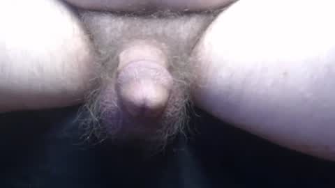 Snapshot of bluebee420 chatting on November 2025 10:36:01 AM bluebee420 online show from November 2025 10:36:01 AM