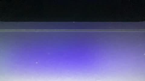 bluuuuuuub online show from December 2024 11:08:01 PM