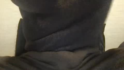 Snapshot of boblight221 chatting on January 2025 09:58:02 PM boblight221 online show from January 2025 09:58:02 PM