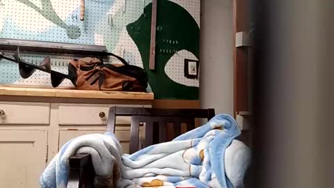 bobmarleybd1420 online show from April 2026 10:08:02 AM