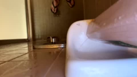 Swingingdong online show from March 2026 04:17:02 AM