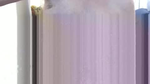 Snapshot of bolbil1 chatting on December 2024 11:34:01 AM bolbil1 online show from December 2024 11:34:01 AM