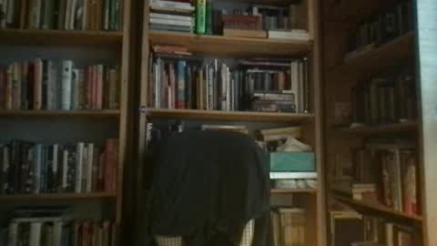 Snapshot of bonderbarney chatting on February 2025 10:42:02 PM BonderBarney online show from February 2025 10:42:02 PM