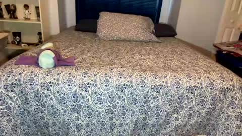 Snapshot of bone2play chatting on January 2025 12:56:01 PM FRECKLES online show from January 2025 12:56:01 PM