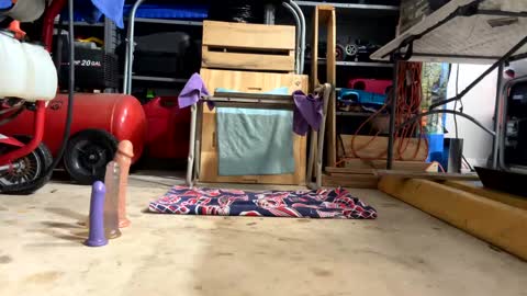 Snapshot of bone2play chatting on February 2025 02:38:01 AM FRECKLES online show from February 2025 02:38:01 AM