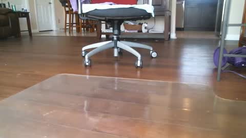 Snapshot of bone2play chatting on March 2025 06:26:02 PM FRECKLES online show from March 2025 06:26:02 PM