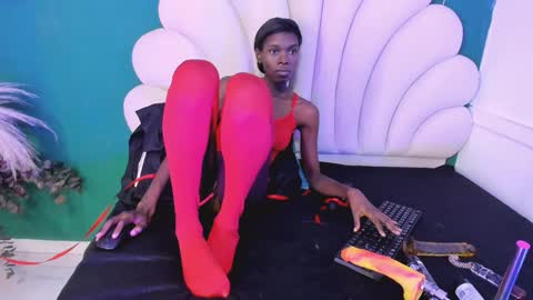 bonieklent online show from January 2025 03:36:02 AM