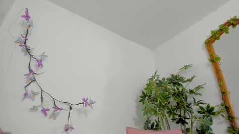 Snapshot of bonniecute_ chatting on February 2026 12:53:01 AM online show from February 2026 12:53:01 AM