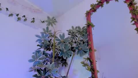   online show from March 2026 12:25:01 AM