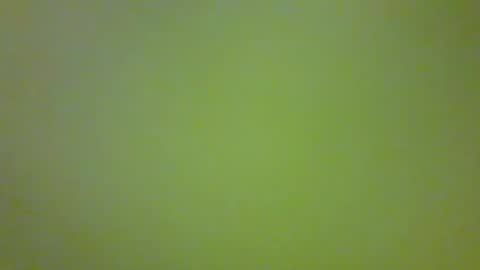 Snapshot of bonniediamond chatting on October 2025 06:52:02 PM bonniediamond online show from October 2025 06:52:02 PM