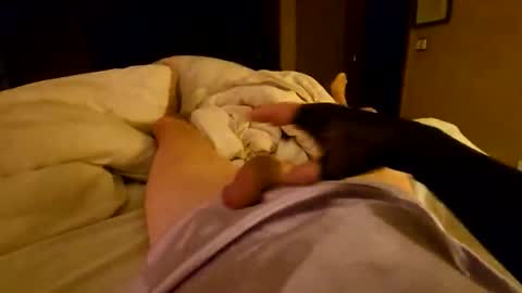 silky sissy sarah online show from April 2026 10:05:01 AM