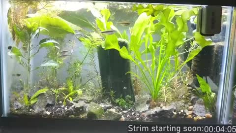 Booker Baxton online show from December 2024 04:07:02 AM