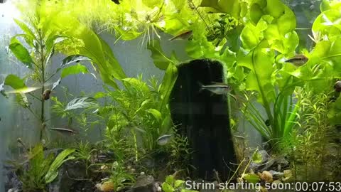 Booker Baxton online show from January 2025 04:02:01 AM