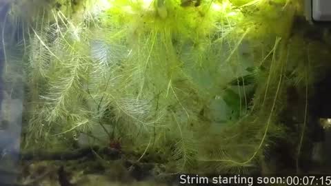 Booker Baxton online show from January 2025 04:04:02 AM