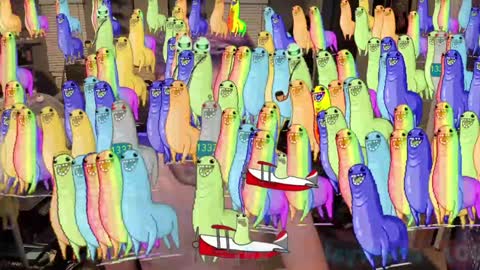 Booker Baxton online show from January 2025 07:05:01 AM