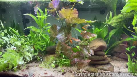 Booker Baxton online show from February 2025 04:10:01 AM