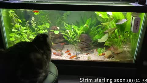 Booker Baxton online show from February 2025 04:04:01 AM