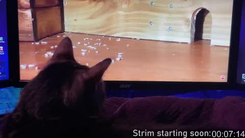 Booker Baxton online show from February 2025 04:00:02 AM