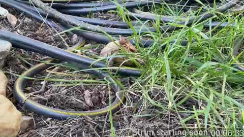 Booker Baxton online show from March 2025 04:02:02 AM