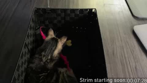 Booker Baxton online show from October 2025 03:01:02 AM