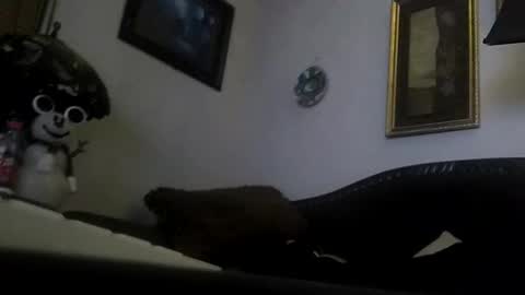 boredaf6678 online show from December 2024 09:05:02 AM