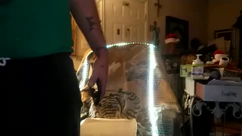 boredaf6678 online show from December 2024 09:34:02 AM