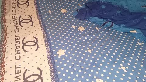 bossetassy online show from April 2026 04:01:02 PM