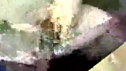 bossram160 online show from September 2025 08:21:01 PM