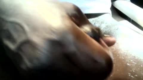 botofogo online show from January 2026 08:07:01 AM