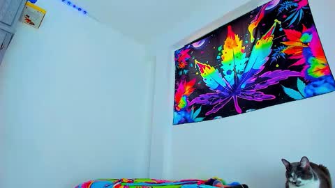 Edward ftm trans queerslave online show from February 2026 06:46:01 PM