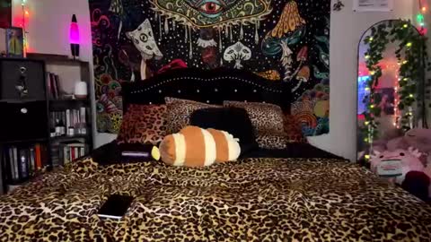 Puddin online show from January 2025 05:53:01 AM