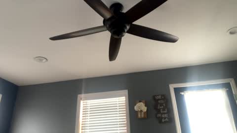 boytoy8969 online show from December 2024 03:01:01 PM