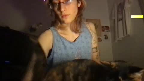 Snapshot of boywithbug chatting on March 2025 04:54:02 AM boywithbug online show from March 2025 04:54:02 AM