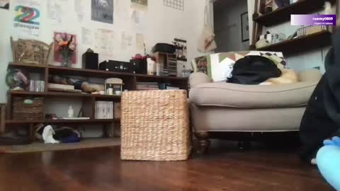 Snapshot of boywithbug chatting on March 2025 06:44:02 PM boywithbug online show from March 2025 06:44:02 PM