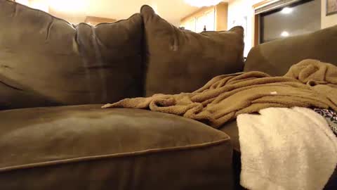 brandondot online show from February 2025 05:51:02 AM