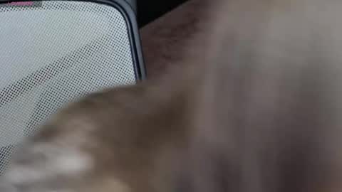 Brandy Gem online show from February 2026 07:23:01 AM