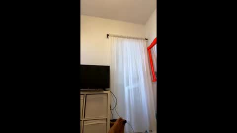 Snapshot of brazilianb0yy chatting on September 2025 09:22:02 AM brazilianb0yy online show from September 2025 09:22:02 AM