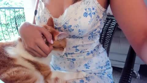 Snapshot of breakfastwithtiff chatting on May 2026 03:32:01 PM Mar Unboxinbg For My B-DaySunday 21th June online show from May 2026 03:32:01 PM