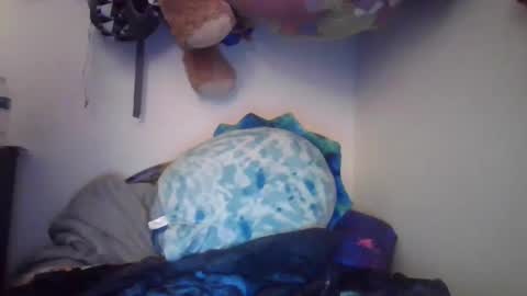 Snapshot of brenttbabe chatting on February 2025 09:25:01 PM MeganDLoves online show from February 2025 09:25:01 PM