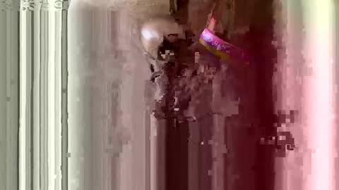 brewfan65 online show from October 2025 08:49:02 PM