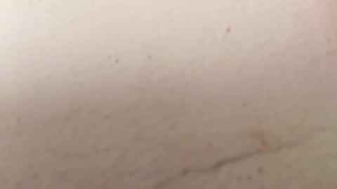 Brittany  online show from September 2025 04:06:02 PM