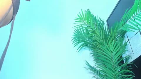 BRIYIT     online show from January 2025 05:58:01 AM