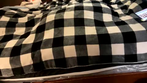 Snapshot of brownbootie1 chatting on January 2025 04:05:01 PM brownbootie1 online show from January 2025 04:05:01 PM